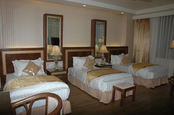 Hotel Picasso Paschim Vihar Delhi - Couple Friendly Local Ids Accepted Exteriér fotografie